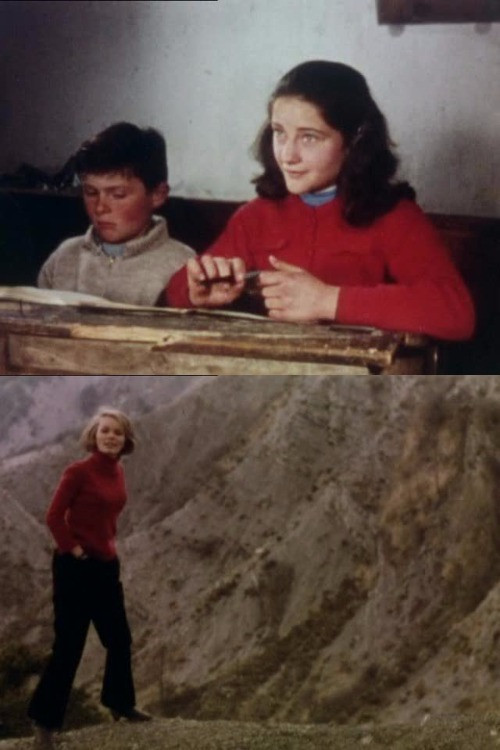 Terres noires постер