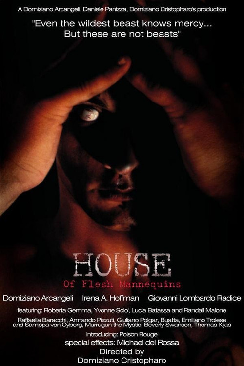 House of Flesh Mannequins постер