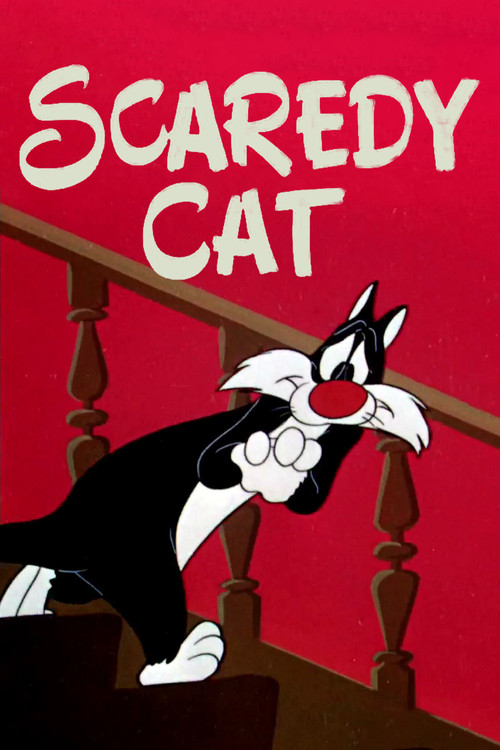 Scaredy Cat постер