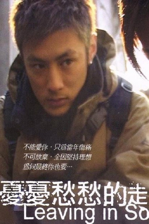 憂憂愁愁的走了 постер