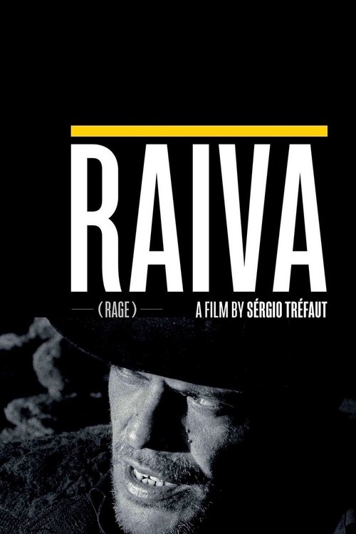 Гнев постер