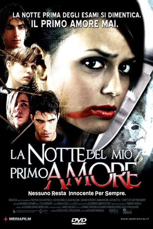 La notte del mio primo amore постер