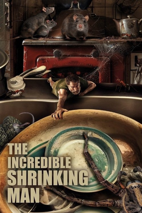 The Shrinking Man постер