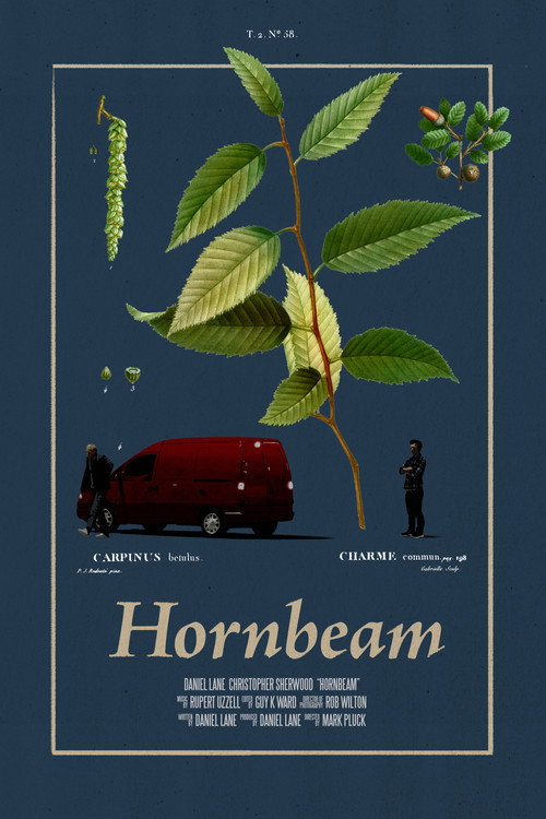 Hornbeam постер