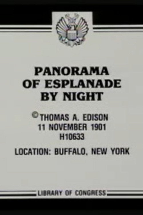 Panorama of Esplanade by Night постер