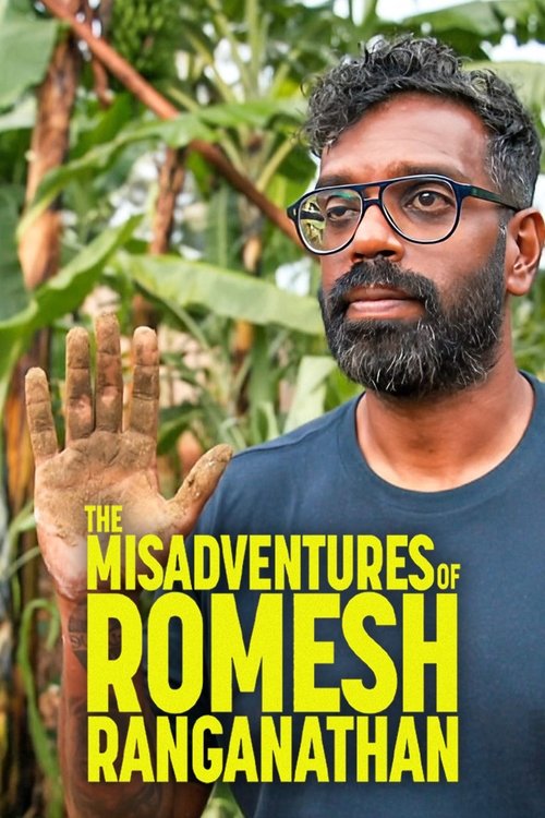 The Misadventures of Romesh Ranganathan постер