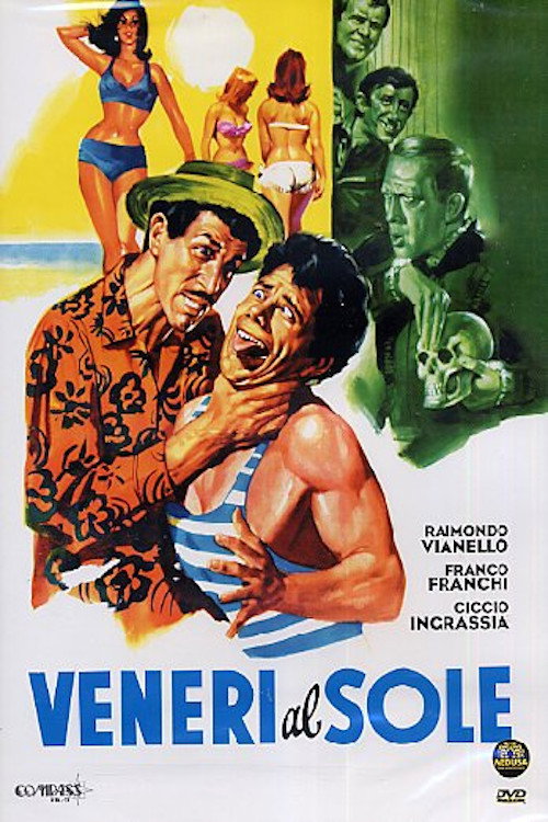 Venus in the Sun постер