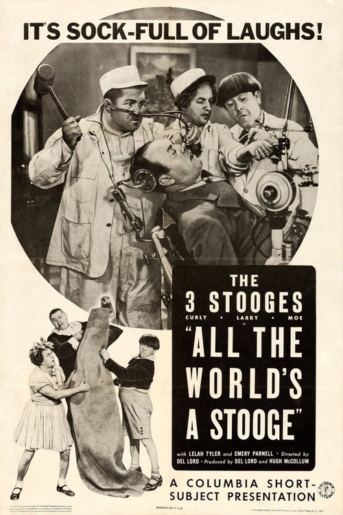 All the World's a Stooge постер