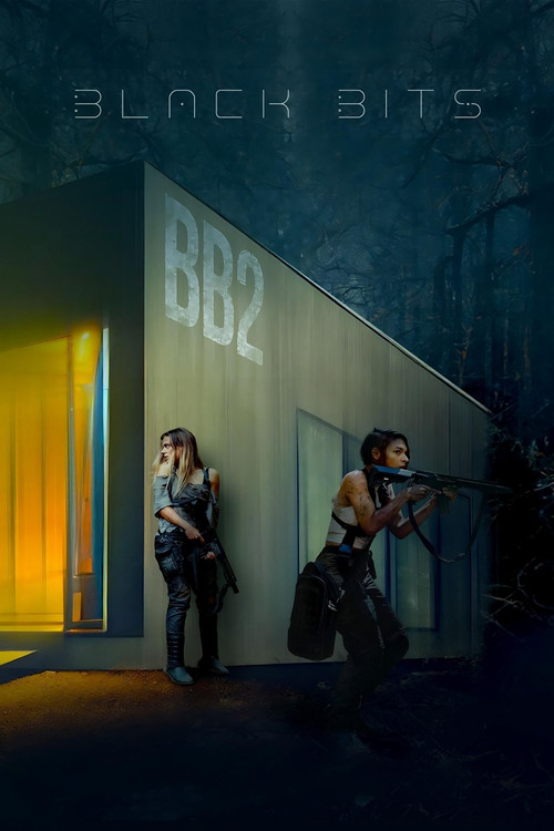 Black Bits постер