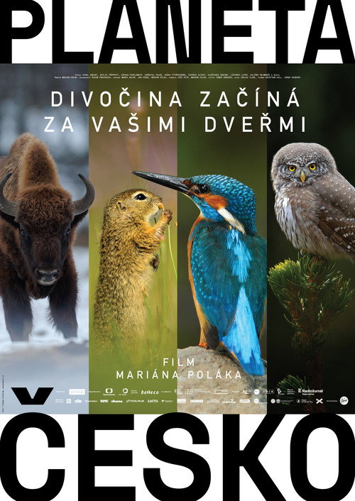 Planeta Česko постер