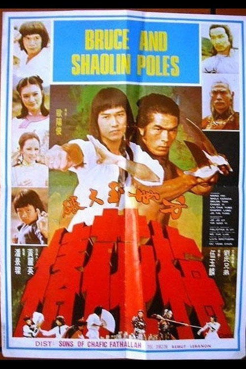 Fang Shi Yu da po mei hua zhuang постер