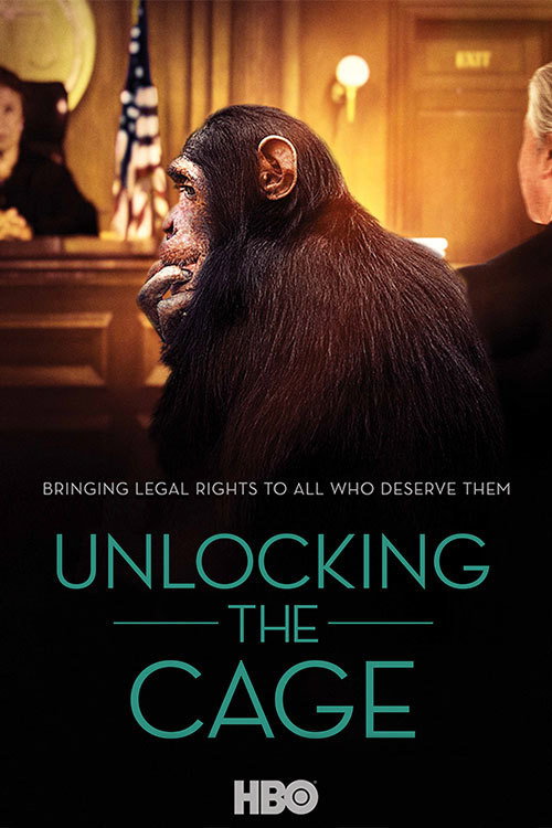 Unlocking the Cage постер