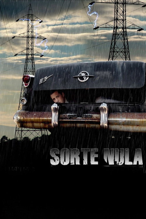 Багажник постер