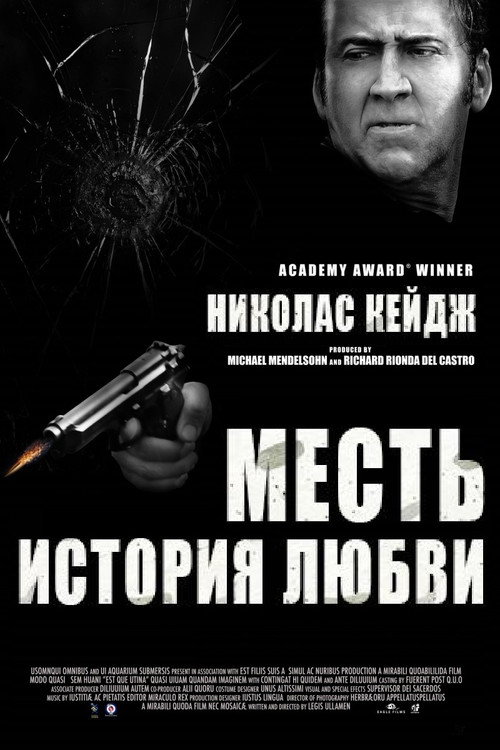 Месть: История любви постер