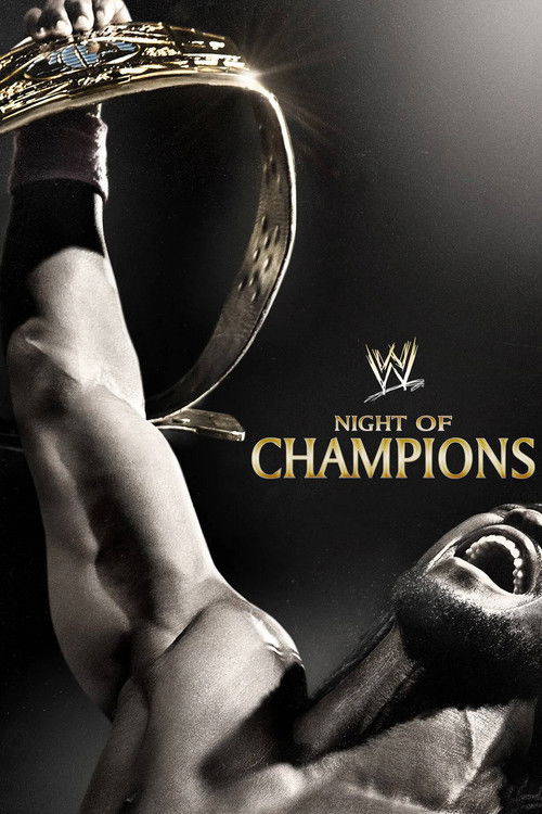 WWE Night of Champions 2013 постер