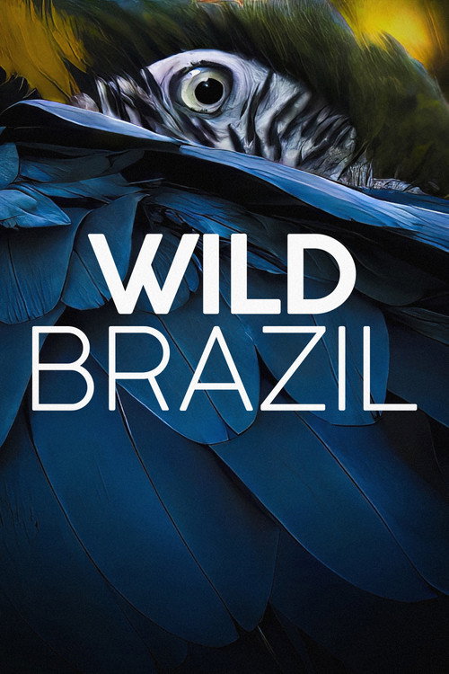 Wild Brazil постер