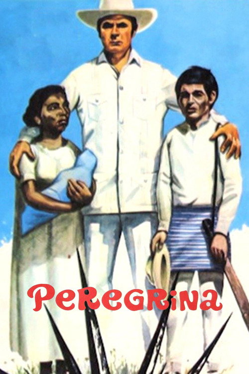 Peregrina постер