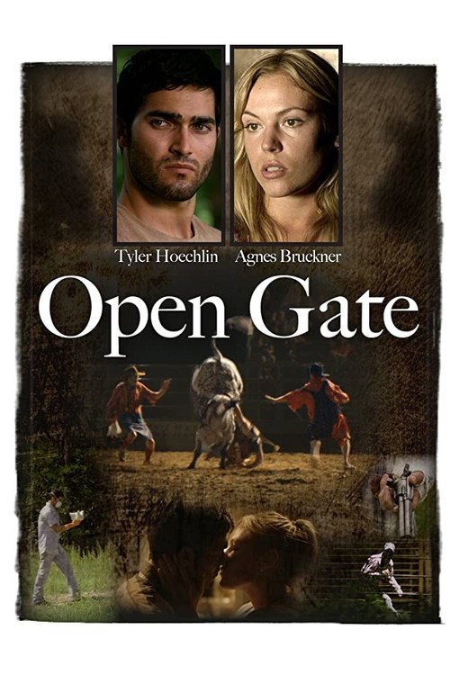 Open Gate постер