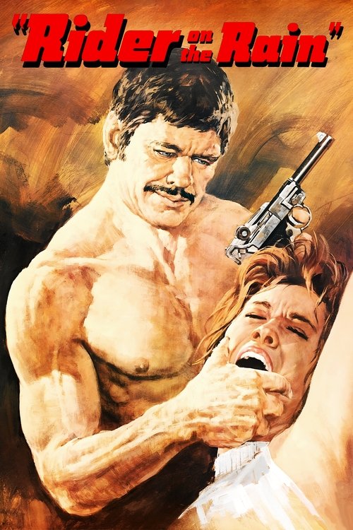 Пассажир дождя постер