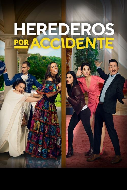 Herederos por accidente постер