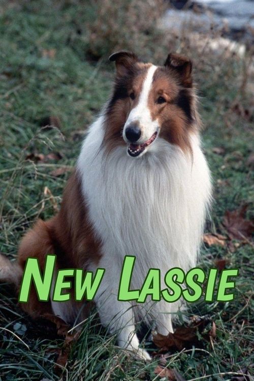The New Lassie постер