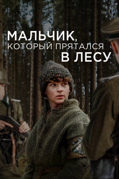 Мальчик, который прятался в лесу постер