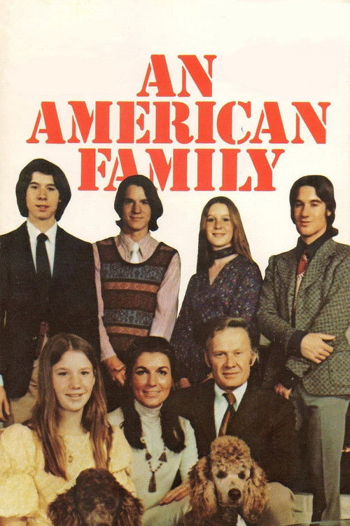 An American Family постер