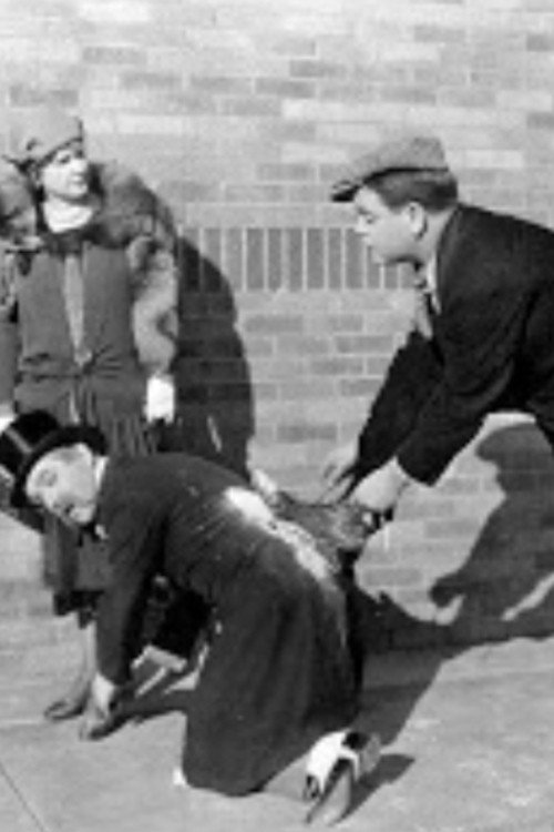 Move Along постер