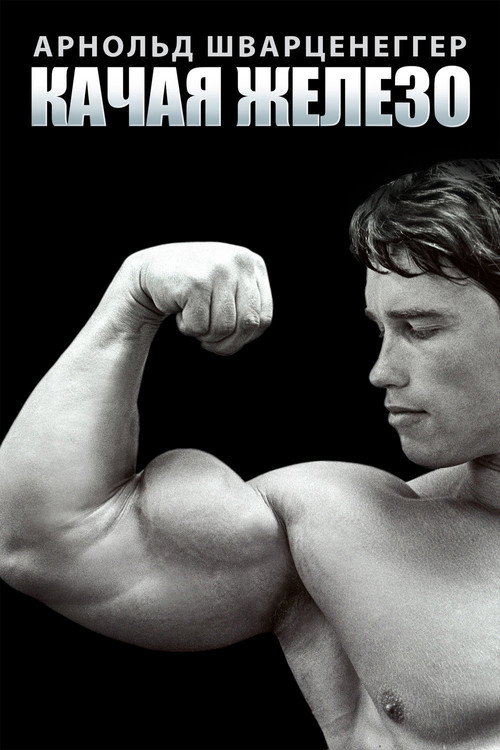 Качая железо постер