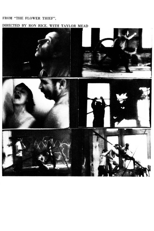 Похититель цветов постер