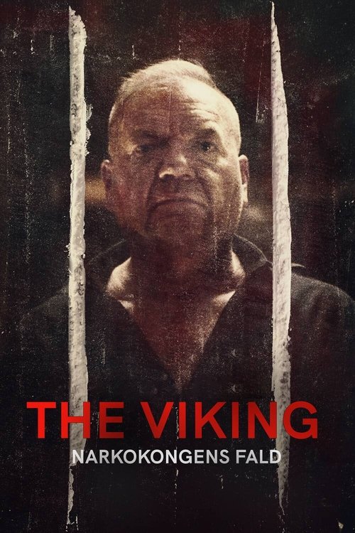 The Viking - Downfall of a Drug Lord постер