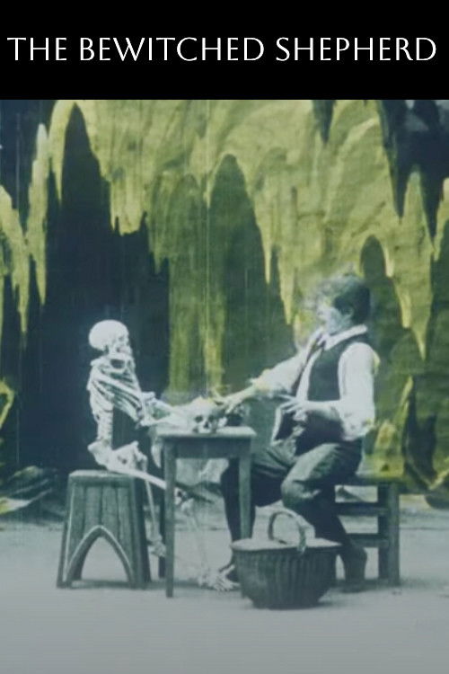 The Bewitched Shepherd постер