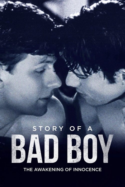 Story of a Bad Boy постер
