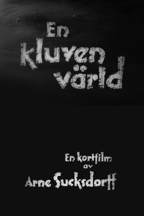 A Divided World постер