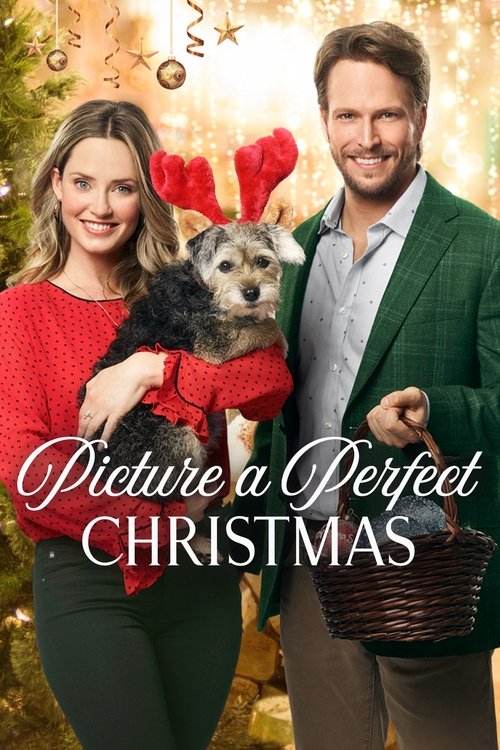 Picture a Perfect Christmas постер