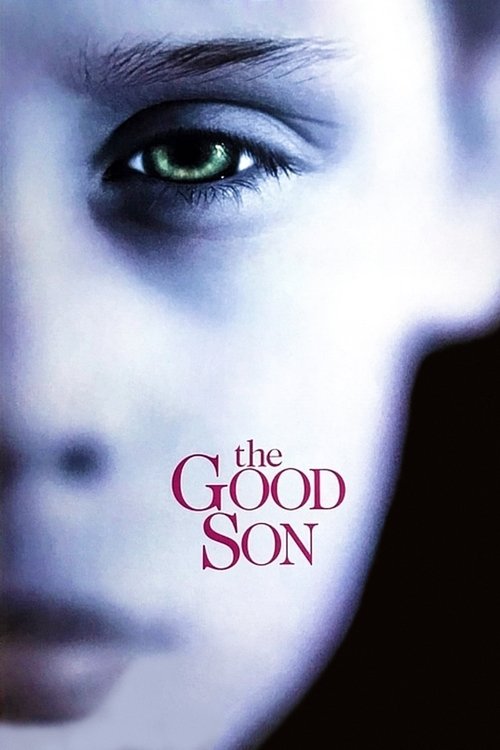 The Good Son постер