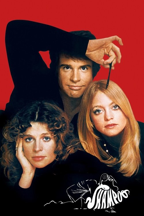 Шампунь постер