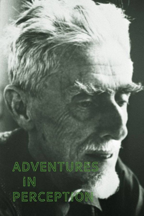 Adventures in Perception постер
