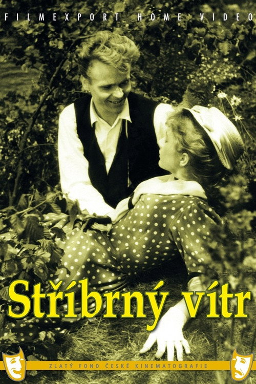 Stříbrný vítr постер