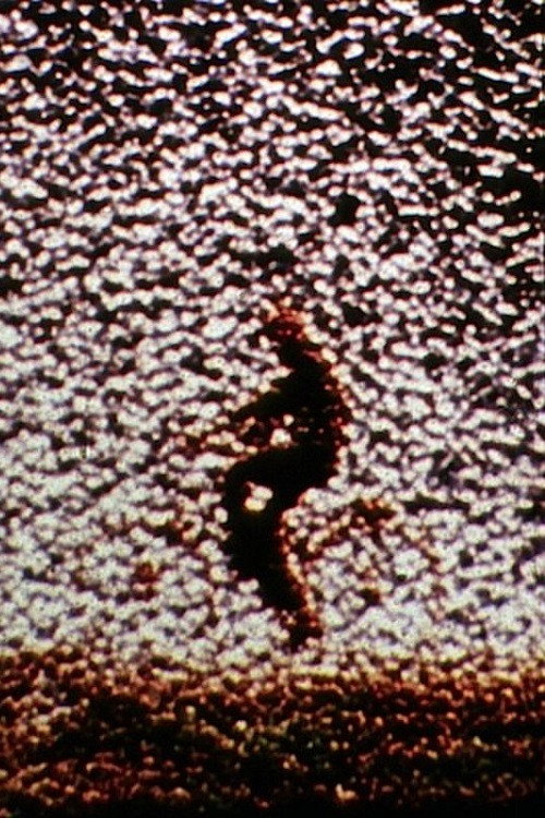 Remains to Be Seen постер