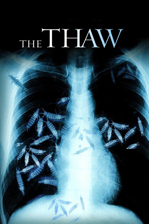 The Thaw постер