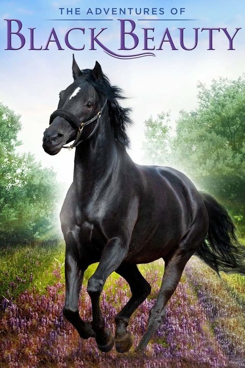 The Adventures of Black Beauty постер