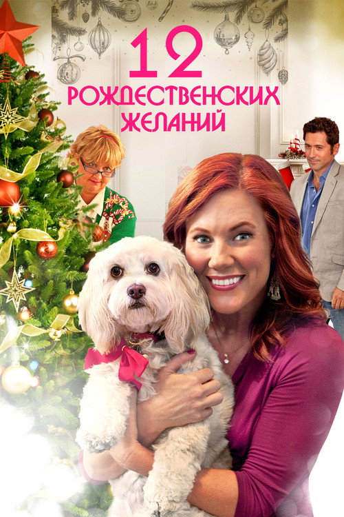 12 Рождественских желаний постер