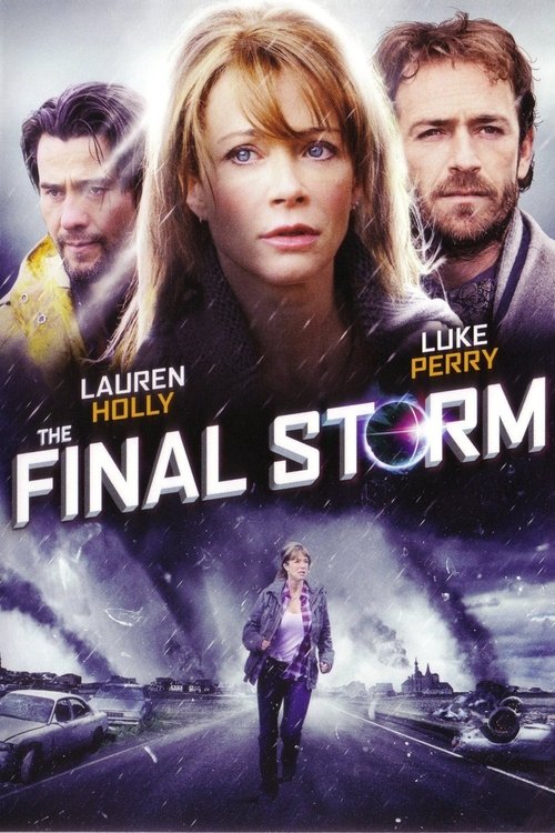 The Final Storm постер