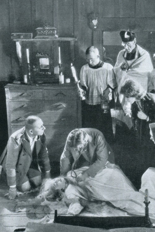 The Honeymoon постер