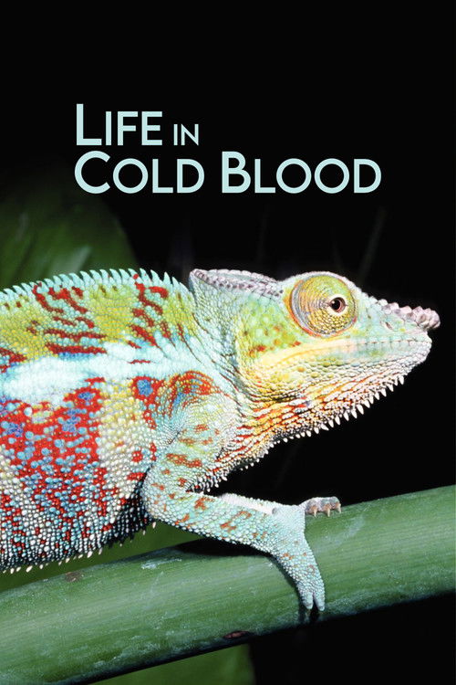Life in Cold Blood постер