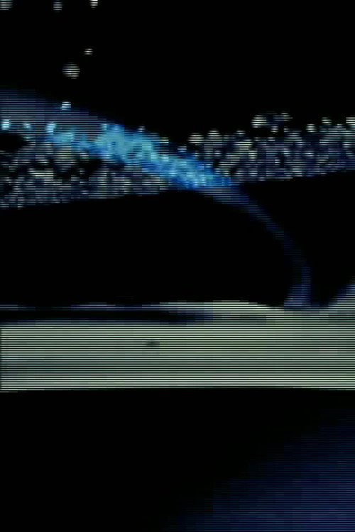 Palindrome постер