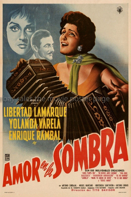 Amor en la sombra постер