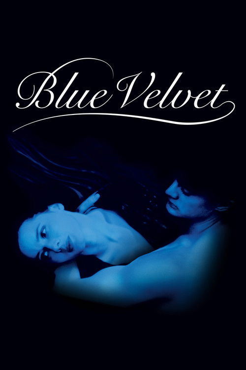 Blue Velvet постер