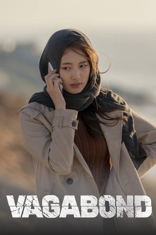 Бродяга постер